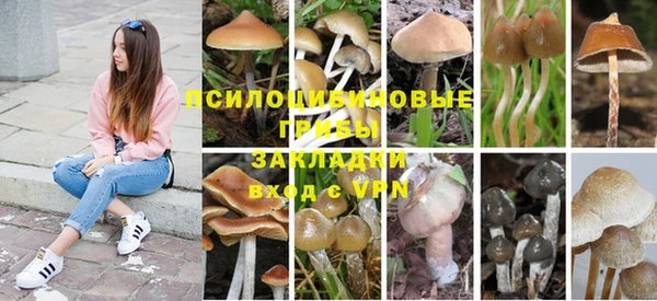 jwh Аркадак