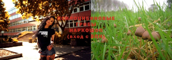 jwh Аркадак
