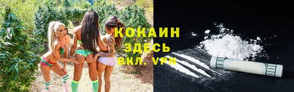 дживик Армянск