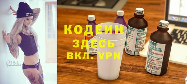 трава Няндома