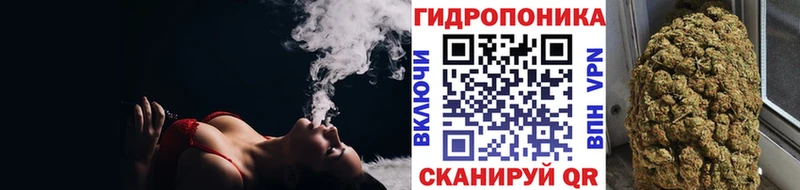 Бошки Шишки White Widow  Саранск 